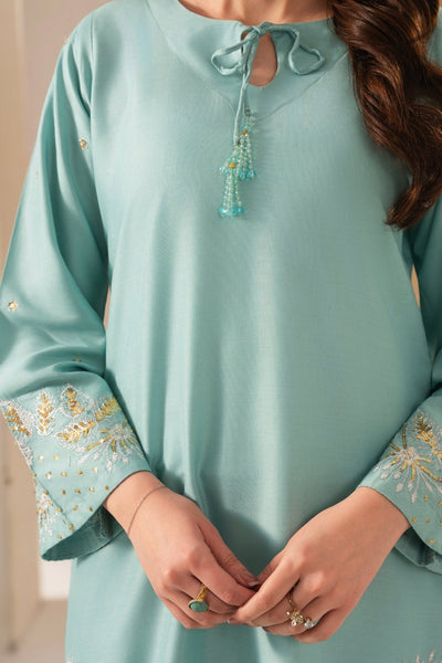ASHNA EMBROIDED 3 PC