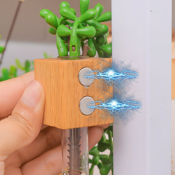 Flower Magnet